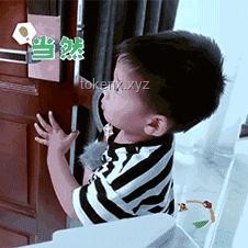 “网红宠物零食”大摸底！狗都不吃？那我吃！：宠物食品市场乱象与消费者自救